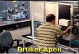 Bruker Apex
