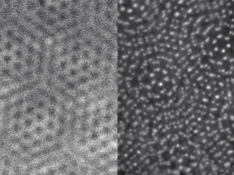 Blurry black dots next to a more focused image.