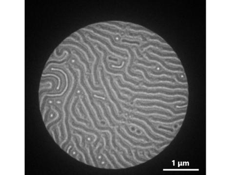 Black and white microscopy images of skyrmions.