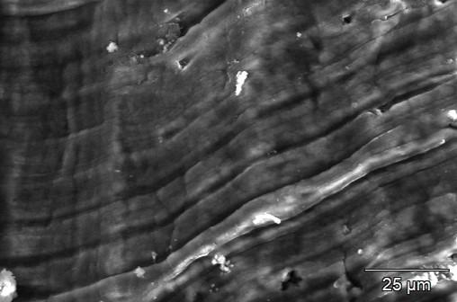 A secondary electron image of the same piece of lithium metal after sitting in air for 30 minutes, showing that the topography has now changed.
