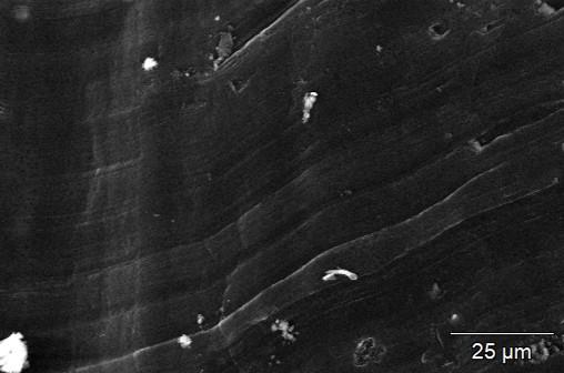 A secondary electron image of the same piece of lithium metal after sitting in the Noble Dome for 30 minutes, showing that the topography looks relatively unchanged from its pristine state.